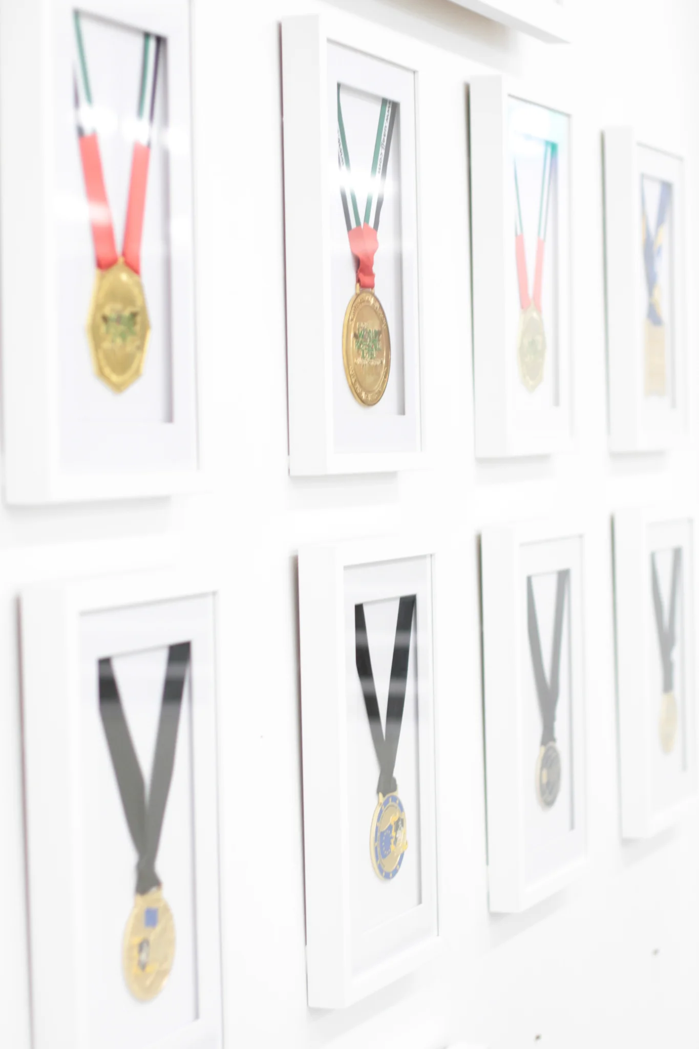 Bruno Alves Medals
